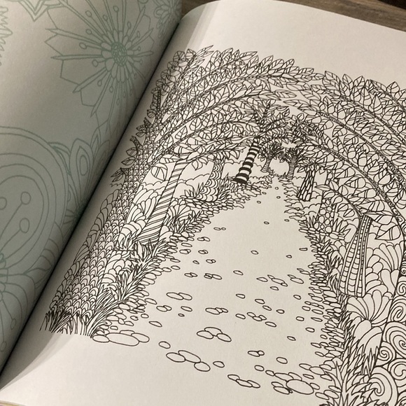 COLOR ME CALM 100 COLORING TEMPLATES FOR MEDITATION & RELAXATION - Picture 10 of 15